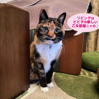 リビングのビビ子さん
