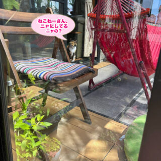 テラスから外を眺めるビビ子さん