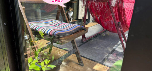 テラスから外を眺めるビビ子さん