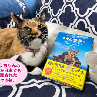 『ナラの世界へ』とビビ子さん