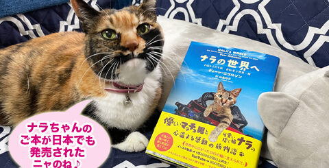 『ナラの世界へ』とビビ子さん