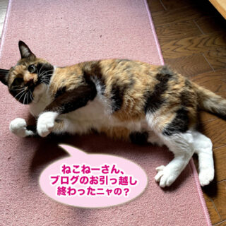 寝そべるビビ子さん