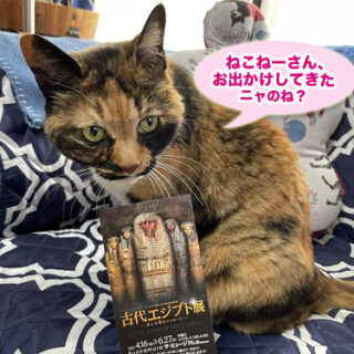 古代エジプト展のチケットとビビ子さん