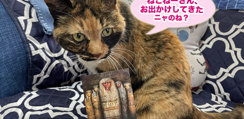 古代エジプト展のチケットとビビ子さん