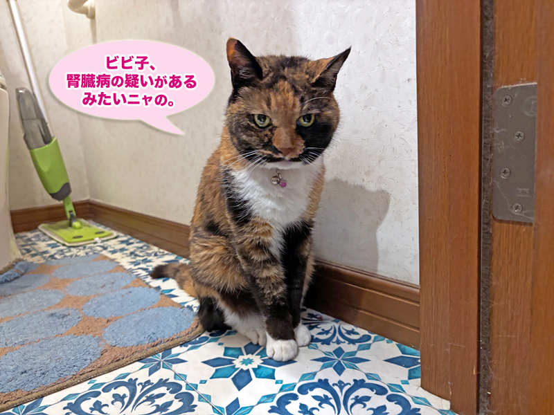 トイレでまったりしているビビ子さん