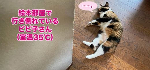 エアコンのない絵本部屋にいるビビ子さん