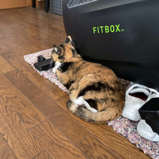 リビングにいるビビ子さん