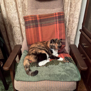 断捨離中のリビングルームのビビ子さん