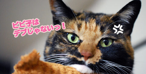 お怒りビビ子さん