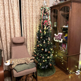 クリスマスツリーを飾ってテンションが上がったビビ子さん