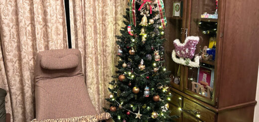 クリスマスツリーを飾ってテンションが上がったビビ子さん