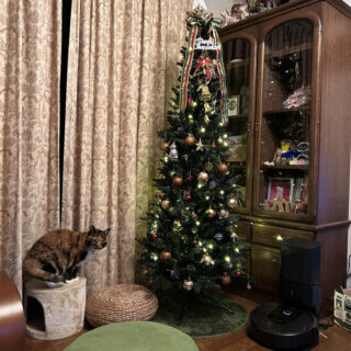 リビングのエアコン前で暖をとるビビ子さん