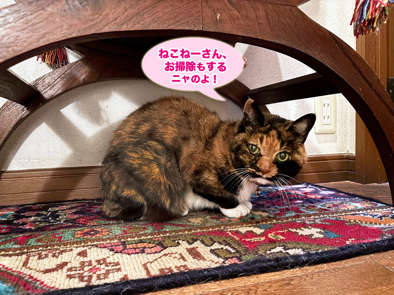 スツールの下のビビ子さん