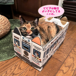 たま電車のみかん箱に入っているビビ子さん