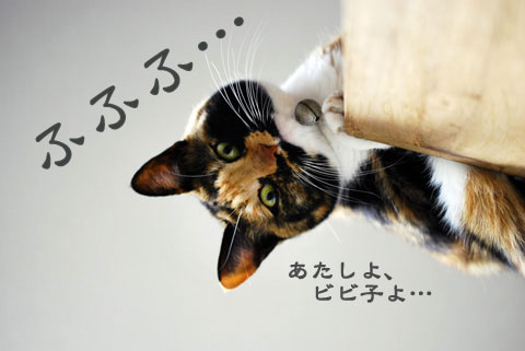 不敵な笑いのビビアン