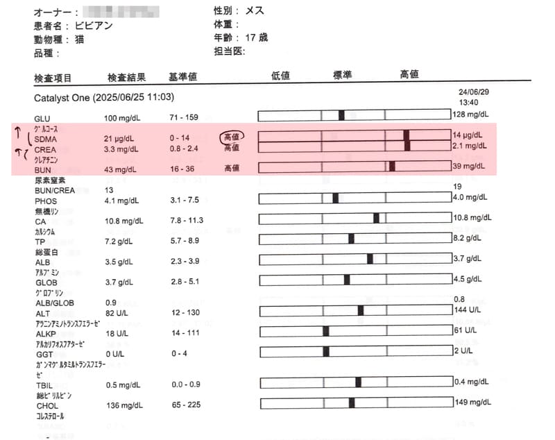 ビビ子さん血液検査