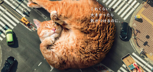 イエローハット 全国交通にゃん全運動 2024 巨大猫ポスター